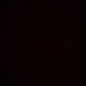 Meet your Posher, Oscar